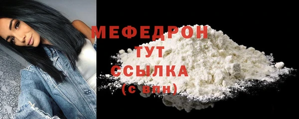 гидра Инта