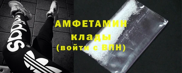 дживик Бородино