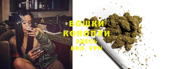 а пвп мука Богданович