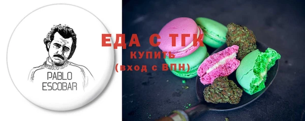 дживик Бородино