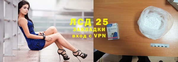 дживик Бородино