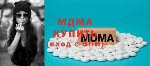 дживик Бородино