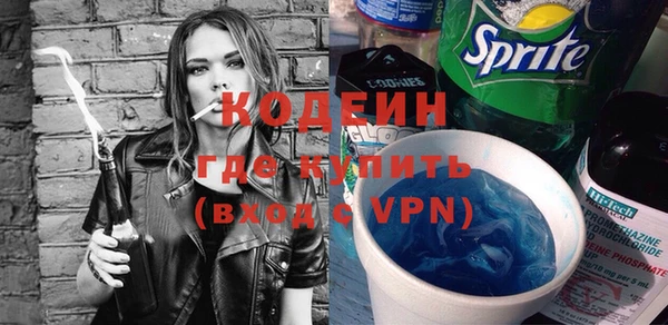 дживик Бородино