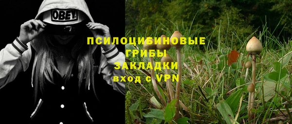 бошки Бугульма