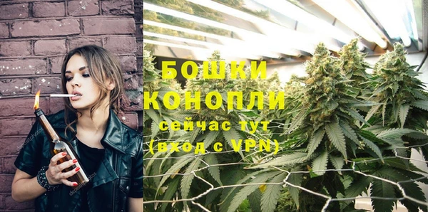дживик Бородино