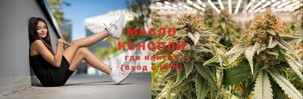 дживик Бородино